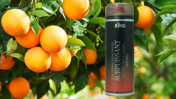 Geruchsabsorber KING - Orange - 750ml